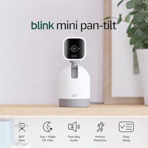 Blink Mini Pan-Tilt Camera